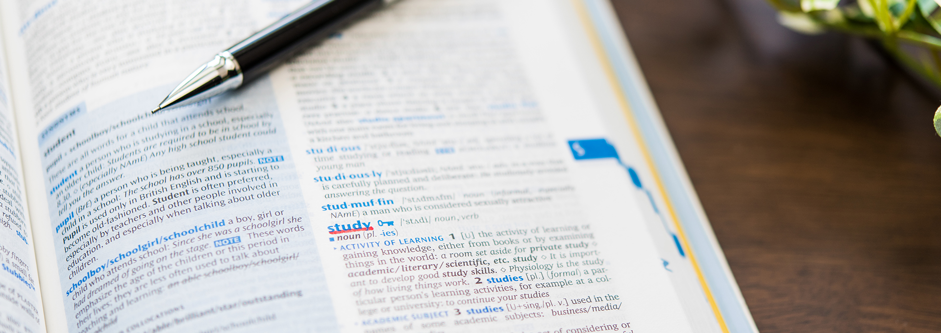 カナックイングリッシュスクール